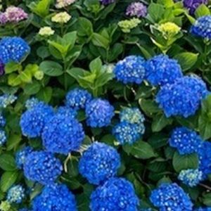 Meet your Posher, Dylankelly